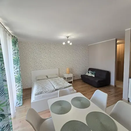 Apartment Miku - Krynica-zdroj *